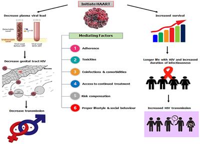 Substance Use, Highly Active Antiretroviral Therapy, and Liver Enzymes: Evidence From a Cross-Sectional Study of HIV-Infected Adult Patients Without Comorbidities on HAART in the University of Port Harcourt Teaching Hospital